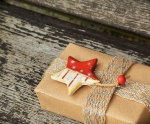 livre cadeau de noel